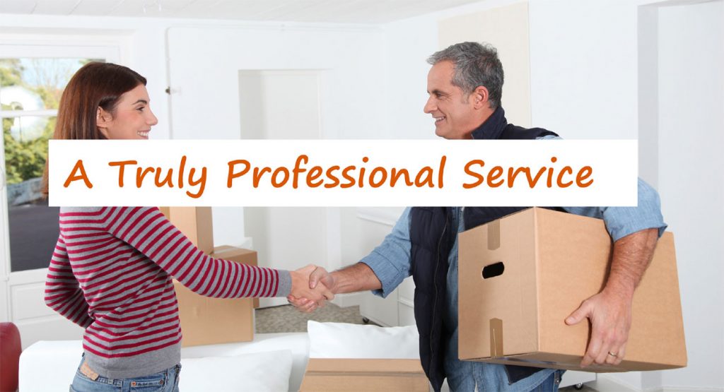 Professional-and-affordable -services