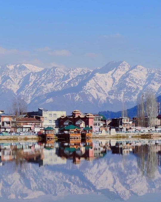 Packers and Movers in Srinagar